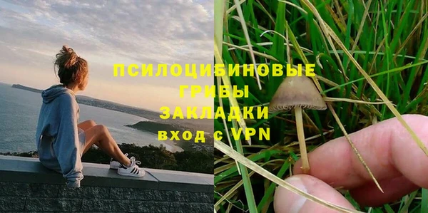 амф Липки