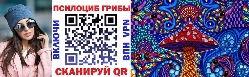 MEGA ссылки  Абакан  Псилоцибиновые грибы Psilocybe 