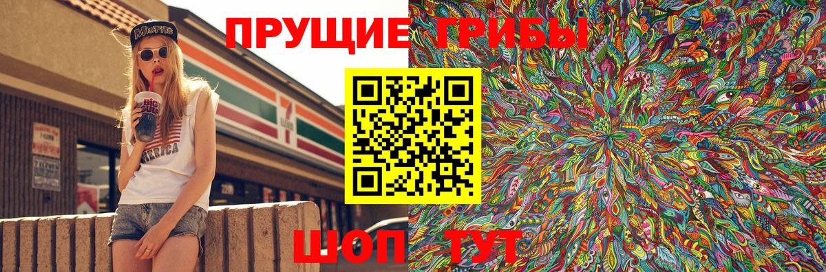 Псилоцибиновые грибы Cubensis Абакан