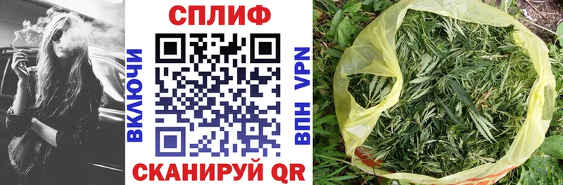 где найти наркотики Абакан Бошки марихуана ГИДРОПОН